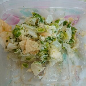 サラダ白菜であっさり漬物